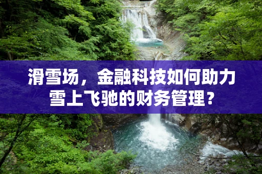 滑雪场，金融科技如何助力雪上飞驰的财务管理？