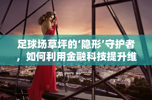 足球场草坪的‘隐形’守护者，如何利用金融科技提升维护效率？