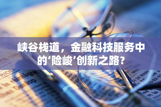 峡谷栈道，金融科技服务中的‘险峻’创新之路？