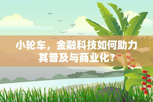小轮车，金融科技如何助力其普及与商业化？