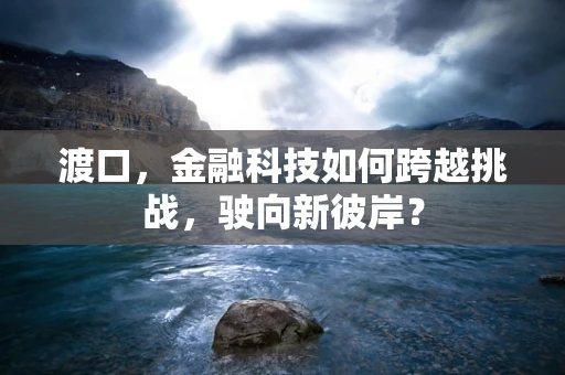 渡口，金融科技如何跨越挑战，驶向新彼岸？