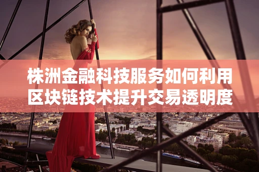 株洲金融科技服务如何利用区块链技术提升交易透明度？