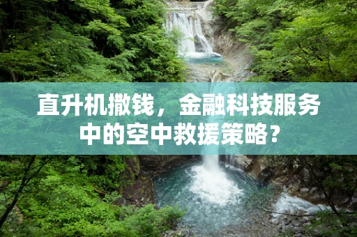 直升机撒钱，金融科技服务中的空中救援策略？
