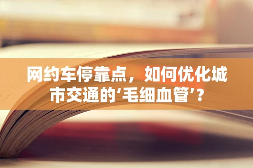网约车停靠点，如何优化城市交通的‘毛细血管’？
