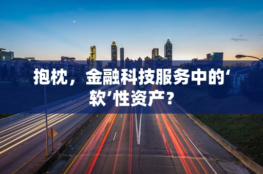 抱枕，金融科技服务中的‘软’性资产？