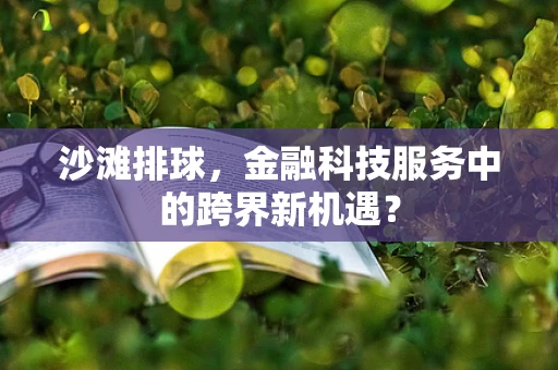 沙滩排球，金融科技服务中的跨界新机遇？