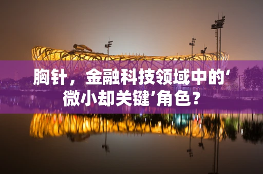 胸针，金融科技领域中的‘微小却关键’角色？