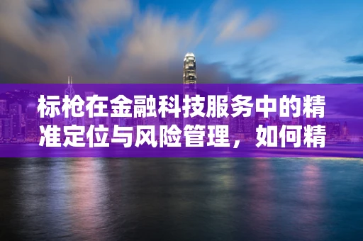 标枪在金融科技服务中的精准定位与风险管理，如何精准瞄准？