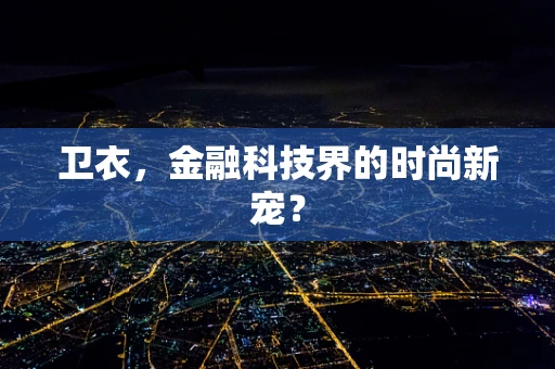 卫衣，金融科技界的时尚新宠？