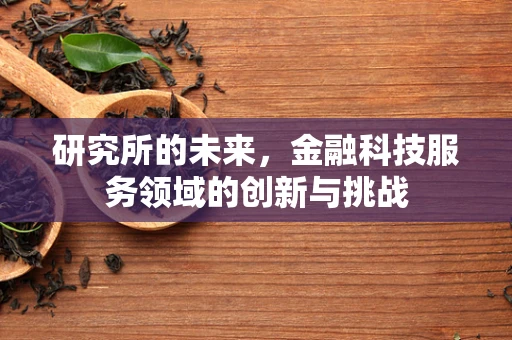 研究所的未来，金融科技服务领域的创新与挑战