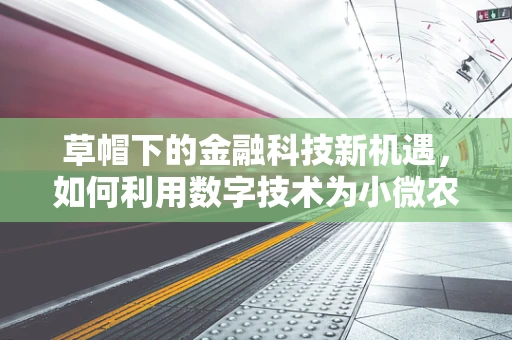 草帽下的金融科技新机遇，如何利用数字技术为小微农户‘遮阳’？