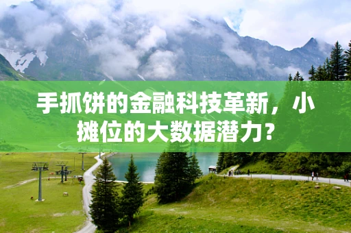 手抓饼的金融科技革新，小摊位的大数据潜力？