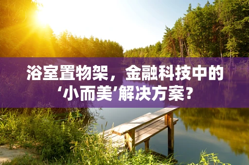 浴室置物架，金融科技中的‘小而美’解决方案？