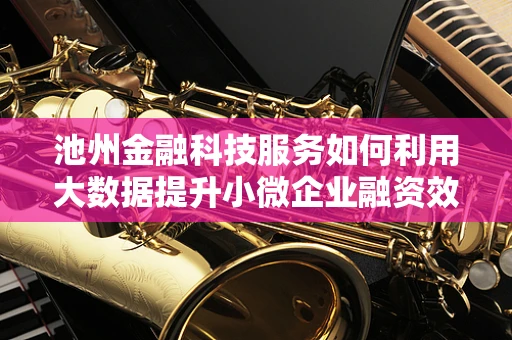 池州金融科技服务如何利用大数据提升小微企业融资效率？