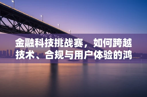 金融科技挑战赛，如何跨越技术、合规与用户体验的鸿沟？