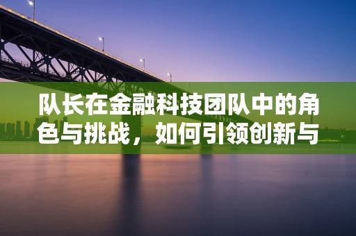 队长在金融科技团队中的角色与挑战，如何引领创新与风险管理？