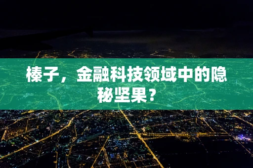 榛子，金融科技领域中的隐秘坚果？