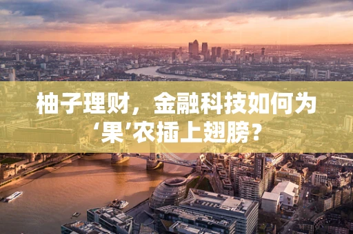 柚子理财，金融科技如何为‘果’农插上翅膀？