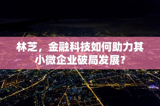 林芝，金融科技如何助力其小微企业破局发展？
