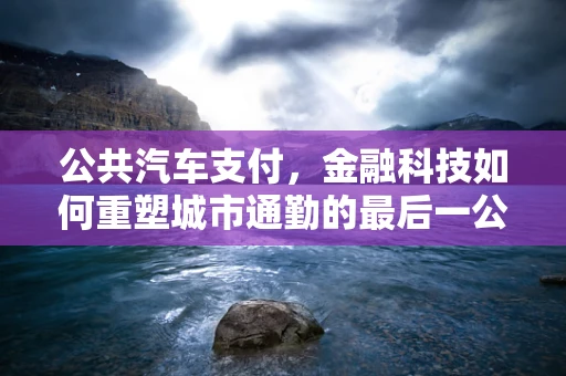 公共汽车支付，金融科技如何重塑城市通勤的最后一公里？