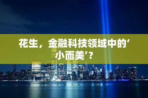 花生，金融科技领域中的‘小而美’？