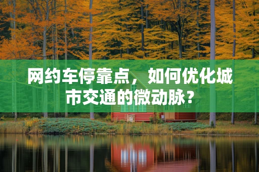 网约车停靠点，如何优化城市交通的微动脉？