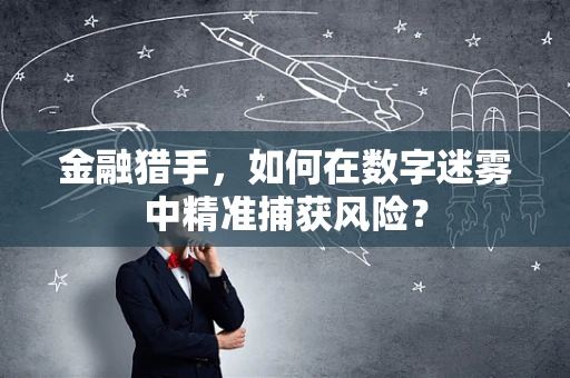 金融猎手，如何在数字迷雾中精准捕获风险？
