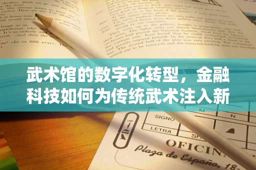 武术馆的数字化转型，金融科技如何为传统武术注入新活力？