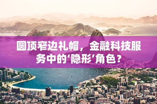 圆顶窄边礼帽，金融科技服务中的‘隐形’角色？