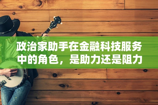 政治家助手在金融科技服务中的角色，是助力还是阻力？