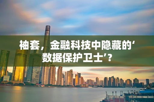 袖套，金融科技中隐藏的‘数据保护卫士’？