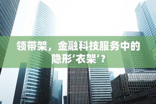 领带架，金融科技服务中的隐形‘衣架’？