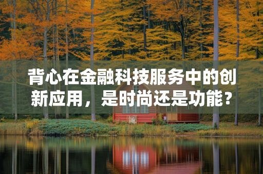 背心在金融科技服务中的创新应用，是时尚还是功能？