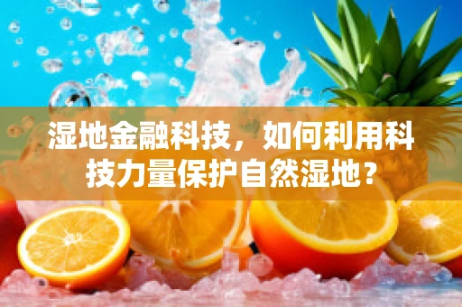 湿地金融科技，如何利用科技力量保护自然湿地？