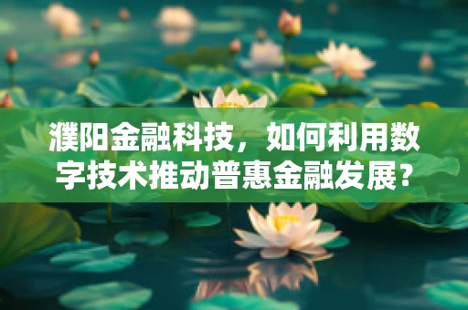 濮阳金融科技，如何利用数字技术推动普惠金融发展？