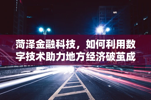 菏泽金融科技，如何利用数字技术助力地方经济破茧成蝶？