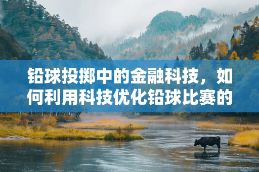 铅球投掷中的金融科技，如何利用科技优化铅球比赛的财务管理？
