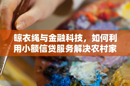 晾衣绳与金融科技，如何利用小额信贷服务解决农村家庭日常难题？