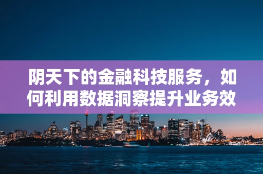 阴天下的金融科技服务，如何利用数据洞察提升业务效能？