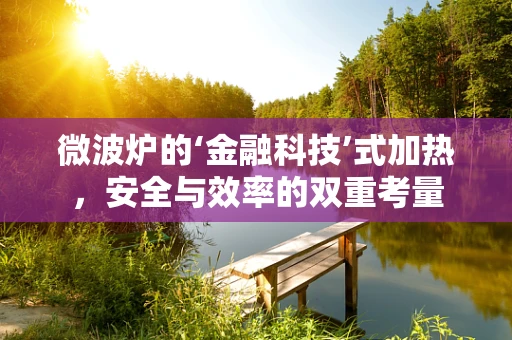微波炉的‘金融科技’式加热，安全与效率的双重考量