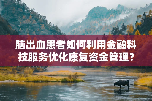 脑出血患者如何利用金融科技服务优化康复资金管理？
