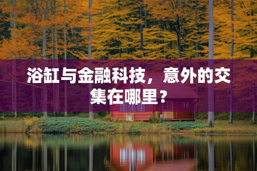 浴缸与金融科技，意外的交集在哪里？