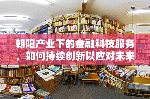 朝阳产业下的金融科技服务，如何持续创新以应对未来挑战？