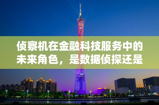 侦察机在金融科技服务中的未来角色，是数据侦探还是风险预警系统？
