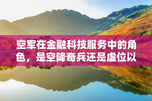 空军在金融科技服务中的角色，是空降奇兵还是虚位以待？