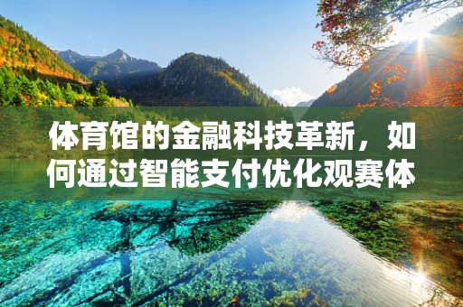 体育馆的金融科技革新，如何通过智能支付优化观赛体验？