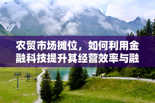 农贸市场摊位，如何利用金融科技提升其经营效率与融资能力？