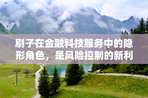 刷子在金融科技服务中的隐形角色，是风险控制的新利器吗？