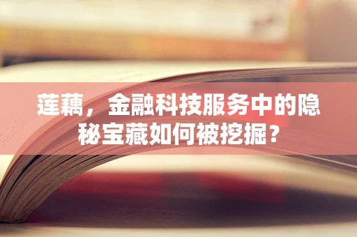 莲藕，金融科技服务中的隐秘宝藏如何被挖掘？