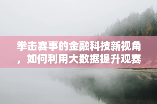 拳击赛事的金融科技新视角，如何利用大数据提升观赛体验与盈利？